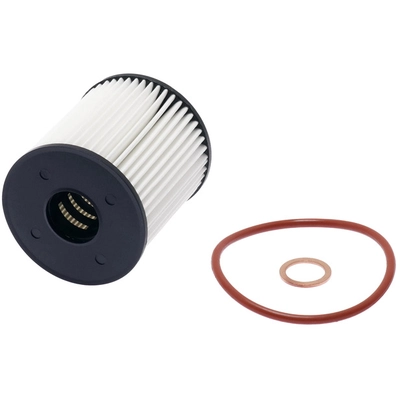 FRAM - XG10066 - OIL FILTER pa3