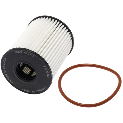 FRAM - XG9713 - OIL FILTER pa2