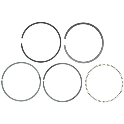 MAHLE ORIGINAL - S40564CP - Premium Piston Rings pa1