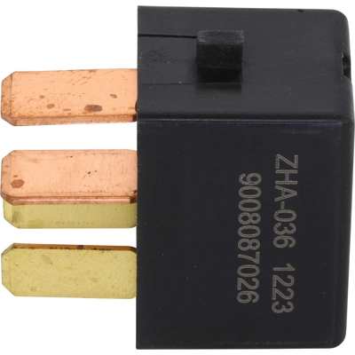 Pump Relay by HOLSTEIN - 2RSW1004 pa4