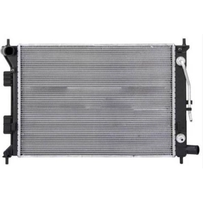 Radiator Assembly - HY3010175 pa1