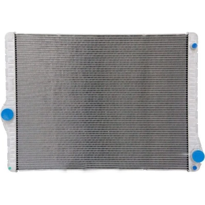Radiator Assembly - BM3010170 pa1