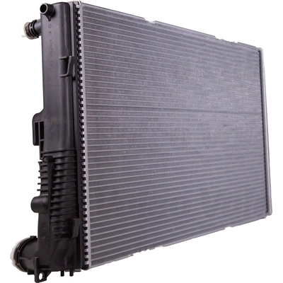 Radiator Assembly - BM3010180 pa1