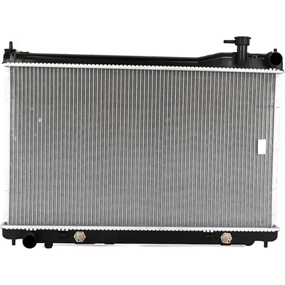 Radiator Assembly - IN3010114 pa1
