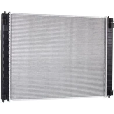 Radiator Assembly - IN3010206 pa1