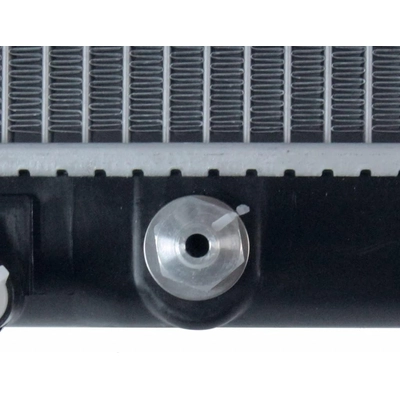 Radiator Assembly - LX3010134 pa2
