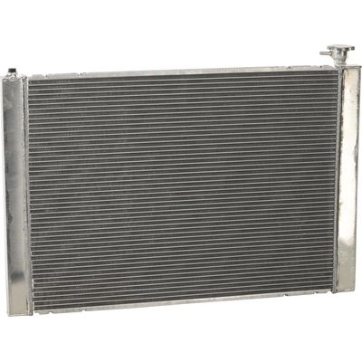 Radiator Assembly - LX3010136 pa1
