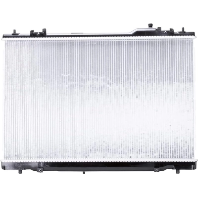 Radiator Assembly - LX3010137 pa1