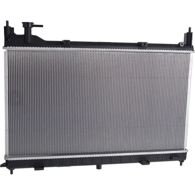 Radiator Assembly - NI3010243 pa1