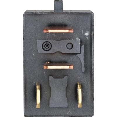 Radiator Fan Relay by HOLSTEIN - 2RSW1009 pa1