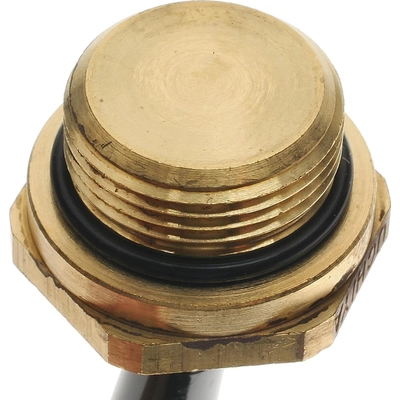 Radiator Fan Switch by BLUE STREAK (HYGRADE MOTOR) - TS379 pa6