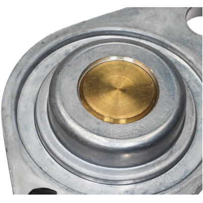 BLUE STREAK (HYGRADE MOTOR) - TS636 - Radiator Fan Switch pa3
