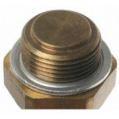 Radiator Fan Switch by BLUE STREAK (HYGRADE MOTOR) - TS539 pa1