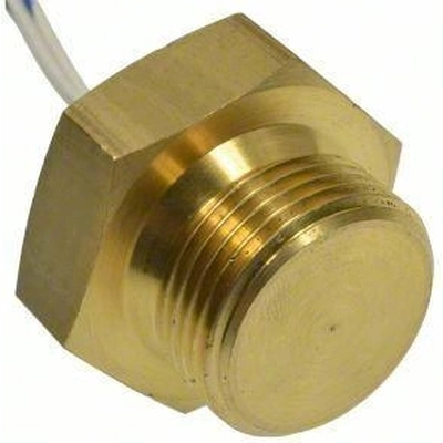 Radiator Fan Switch by BLUE STREAK (HYGRADE MOTOR) - TS659 pa6