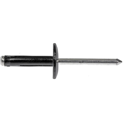 DORMAN/AUTOGRADE - 700-038 - Multi-Purpose Rivet pa1