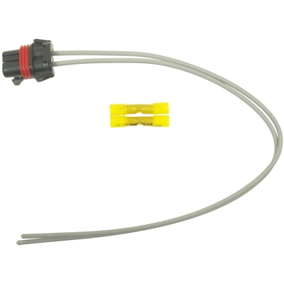 BLUE STREAK (HYGRADE MOTOR) - S1337 - Radio Connector pa32