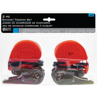 PERFORMANCE TOOL - 1928 - Ratchet Strap pa2