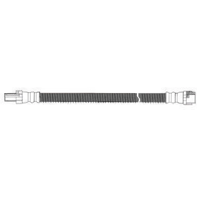 Rear Brake Hose by CENTRIC PARTS - 150.35319 pa1