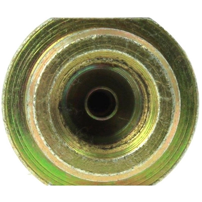 Rear Brake Hose by CENTRIC PARTS - 150.42002 pa13