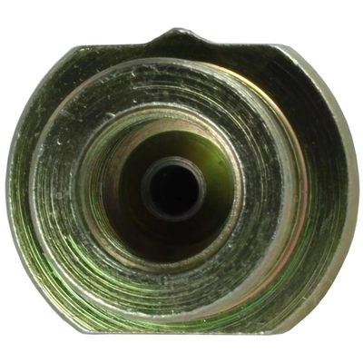 Rear Brake Hose by CENTRIC PARTS - 150.42397 pa1