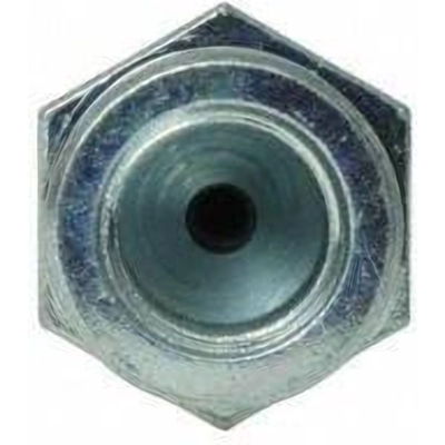 Rear Brake Hose by CENTRIC PARTS - 150.46317 pa9