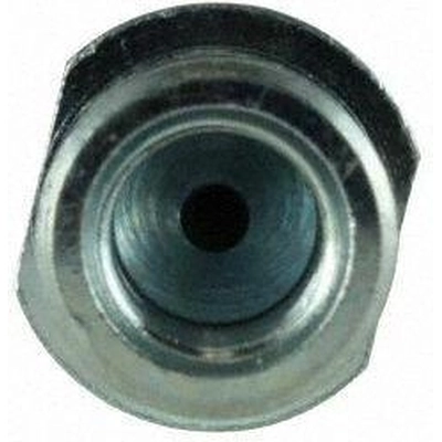 Rear Brake Hose by CENTRIC PARTS - 150.51317 pa12
