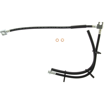 Rear Brake Hose by CENTRIC PARTS - 150.65434 pa2