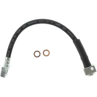 Rear Brake Hose by CENTRIC PARTS - 150.66343 pa6