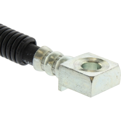 Rear Brake Hose by CENTRIC PARTS - 150.66419 pa1