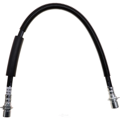Rear Brake Hose by RAYBESTOS - BH384347 pa1