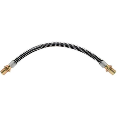 Rear Brake Hose by RAYBESTOS - BH36738 pa2