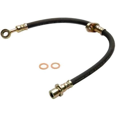 Rear Brake Hose by RAYBESTOS - BH381095 pa8