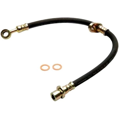 Rear Brake Hose by RAYBESTOS - BH381095 pa9