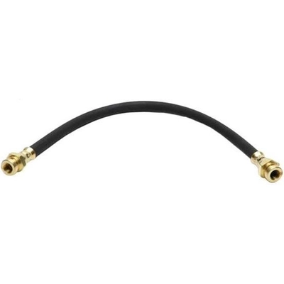 Rear Brake Hose by RAYBESTOS - BH381107 pa2