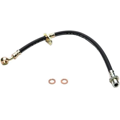 Rear Brake Hose by RAYBESTOS - BH381387 pa2