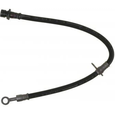 Rear Brake Hose by RAYBESTOS - BH381567 pa12