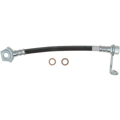 Rear Brake Hose by RAYBESTOS - BH382891 pa4