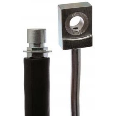 Rear Brake Hose by RAYBESTOS - BH384153 pa4