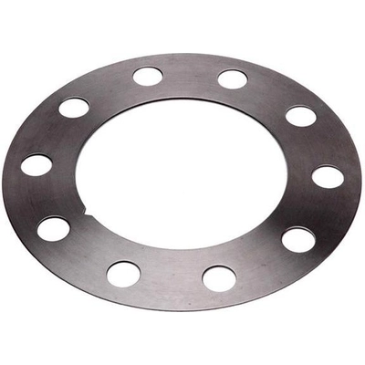 Rear Brake Rotor Shim by RAYBESTOS - BA80106 pa1