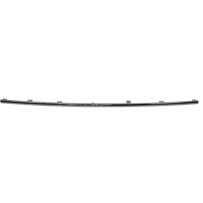 Rear Bumper Molding - LX1144107 pa1