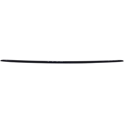 Rear Bumper Molding - TO1144107 pa1