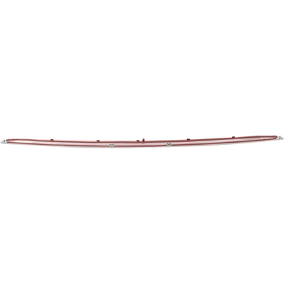 Rear Bumper Molding - BM1144125 pa2