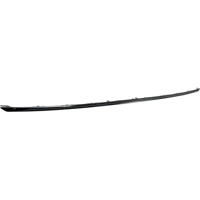 Rear Bumper Molding - BM1144133 pa2