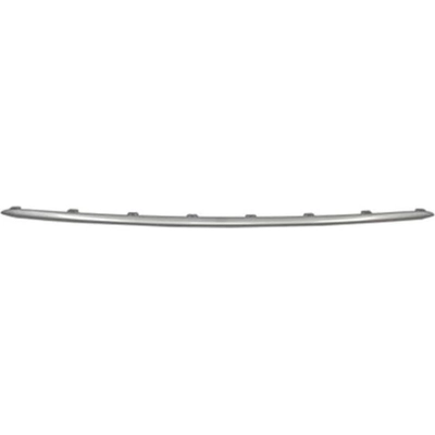 Rear Bumper Molding - BM1144141 pa1