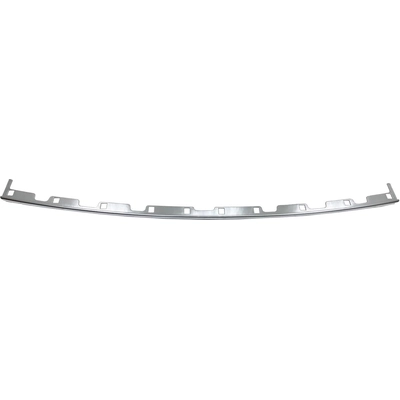 Rear Bumper Molding - FO1144111 pa1