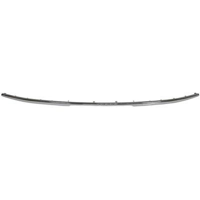 VARIOUS MANUFACTURERS - GM1144130 - Rear Bumper Molding pa16