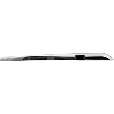 Rear Bumper Molding - NI1144104 pa1