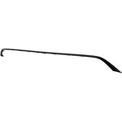 Rear Bumper Molding - TO1144122 pa1