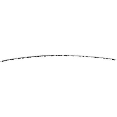 Rear Bumper Molding - VW1144115 pa1