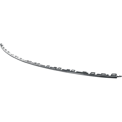 Rear Bumper Molding - VW1144115 pa2